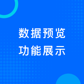 数据预览